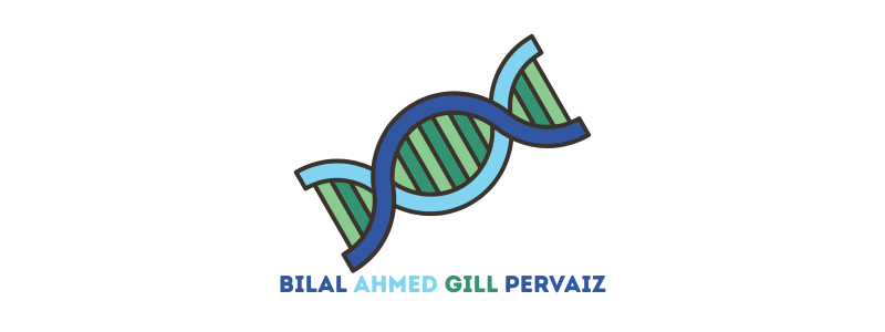 Bilal Ahmed Gill Pervaiz